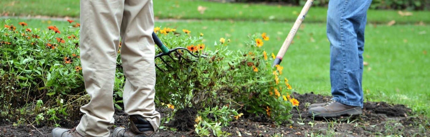 Top Tips for Gardening in a Windy Wellington City