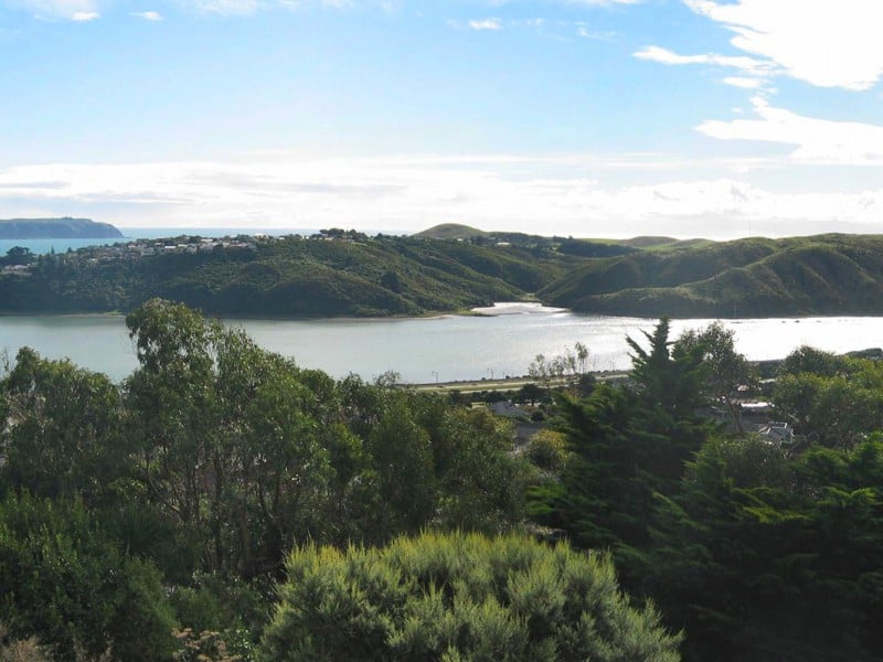 1 Whitford Brown Avenue, Papakowhai Porirua City 5024 - Tommy's Real Estate